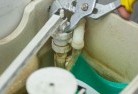 Green Pigeontoilet-replacement-plumbers-3.jpg; ?>